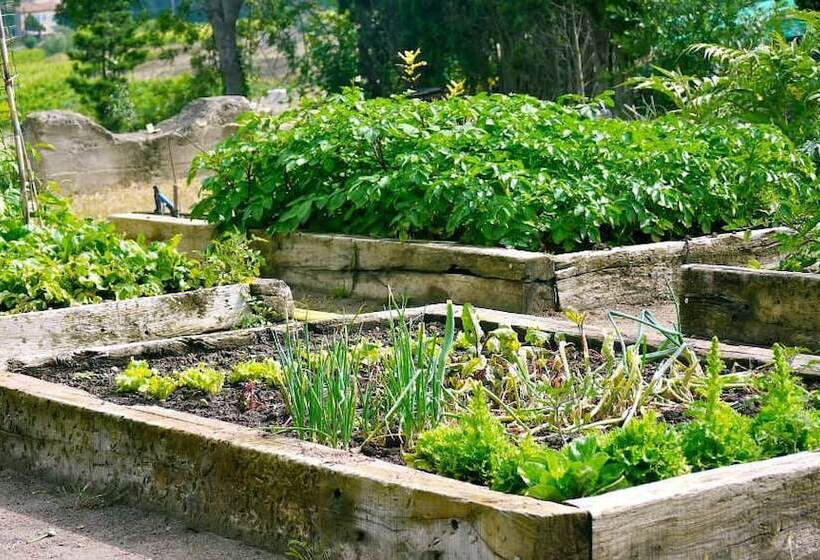 بنسيون Domaine De La Ramade