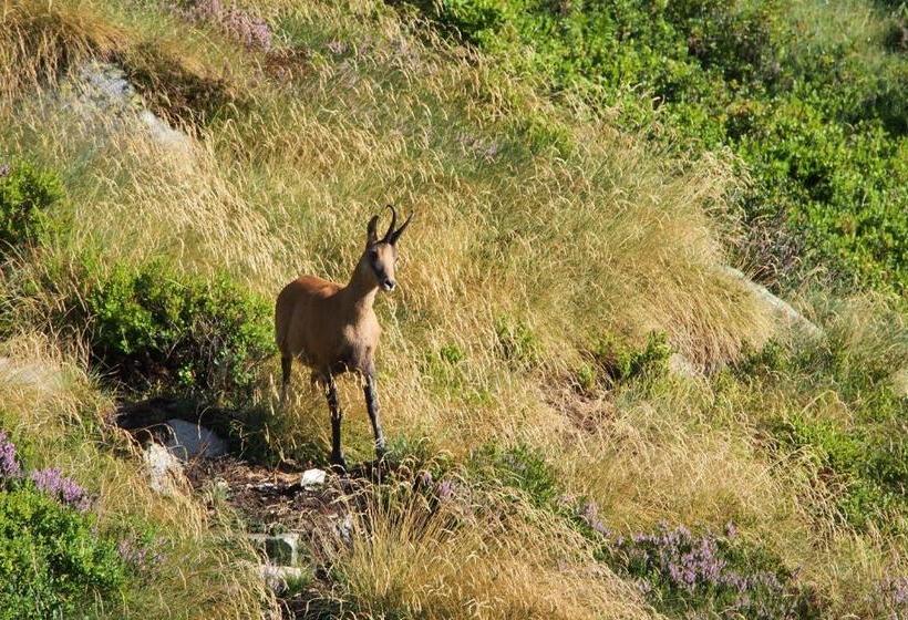 Refuge Des étangs De Bassiès   Hostel