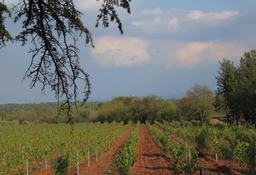 مبيت وإفطار La Grande Lauzade