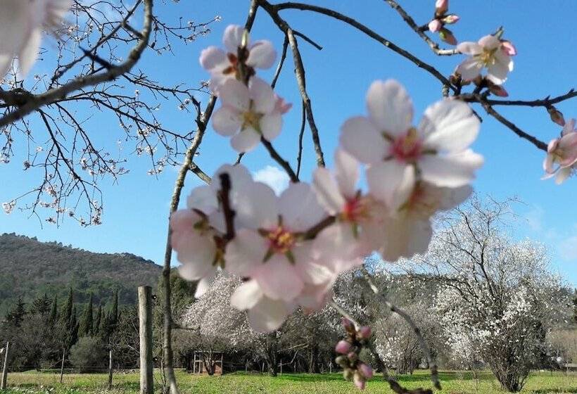 مبيت وإفطار La Grande Lauzade