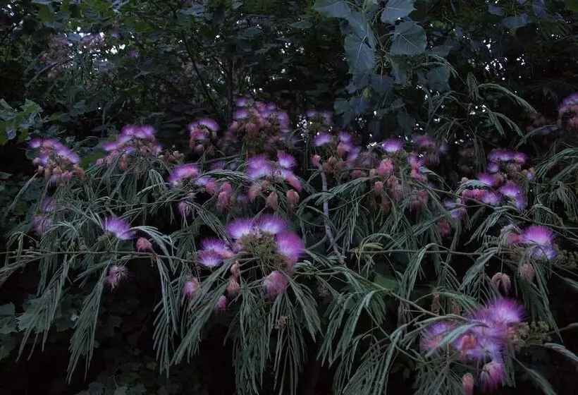 Aamiaismajoitus (B&B) Makanda Inn