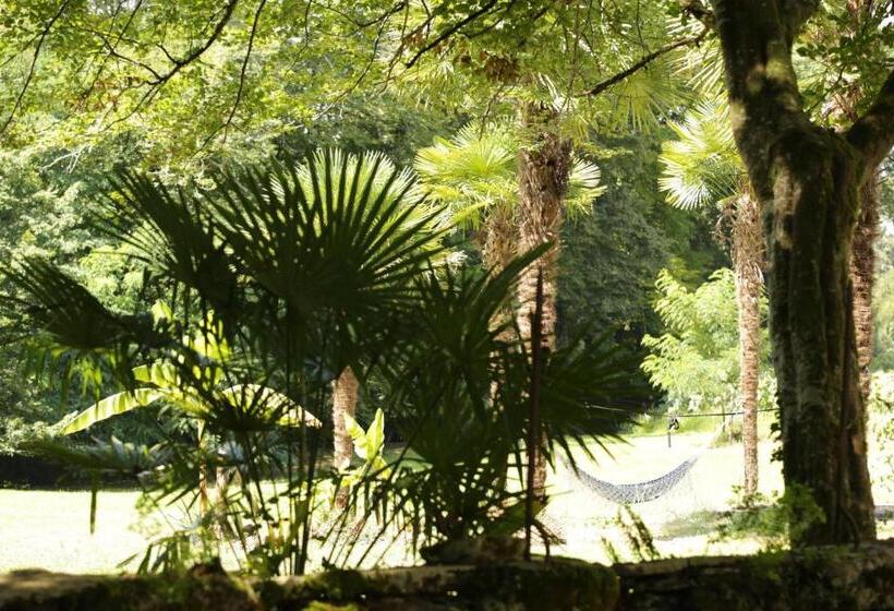 Chateau Saint Martin B&b