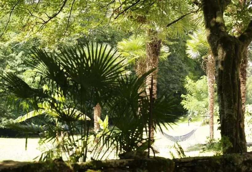 Chateau Saint Martin B&b