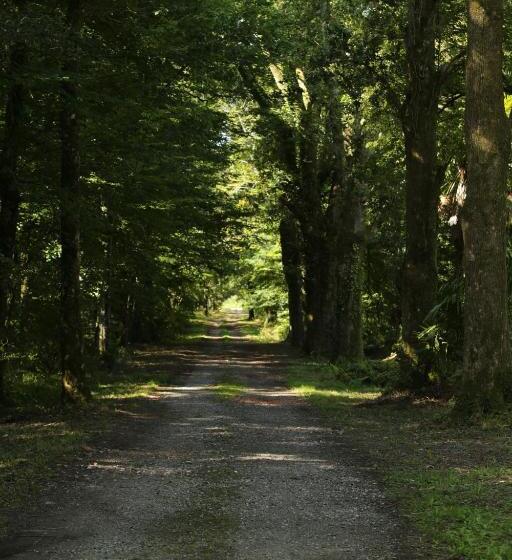 Chateau Saint Martin B&b