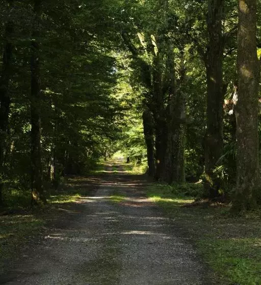 Chateau Saint Martin B&b