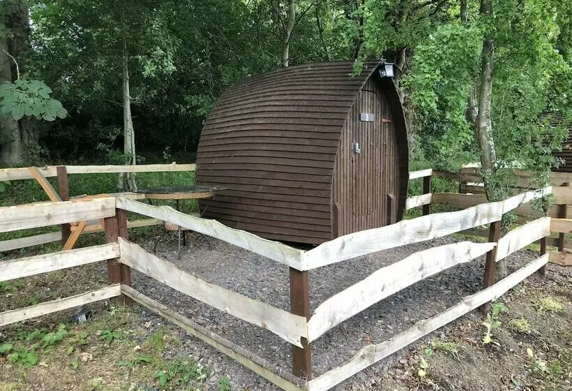 Edinburgh Cabin Camping