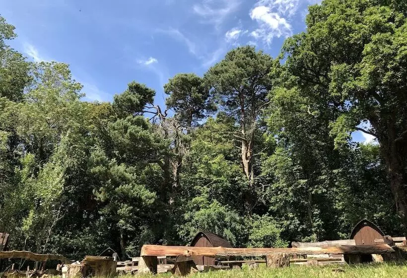Edinburgh Cabin Camping