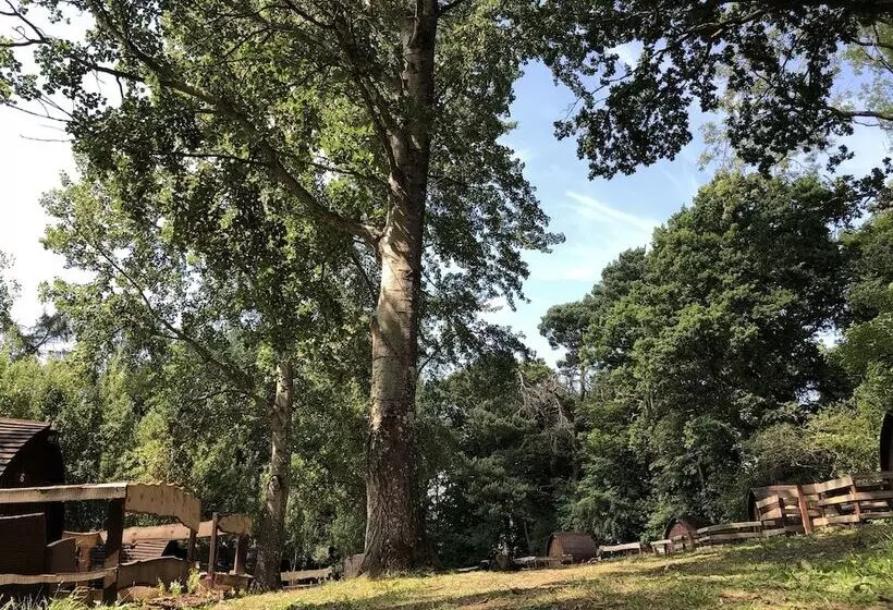 Edinburgh Cabin Camping