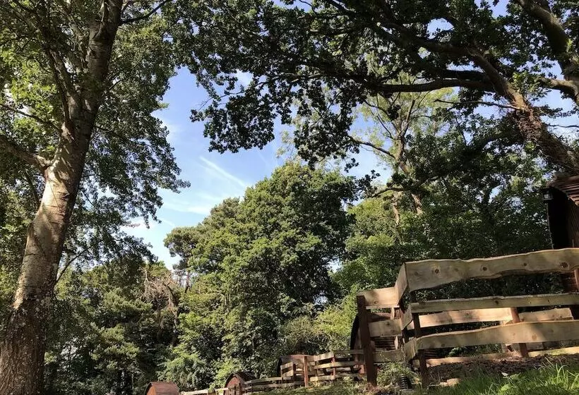 Edinburgh Cabin Camping