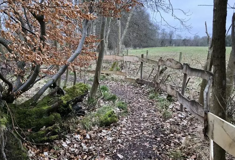 Edinburgh Cabin Camping