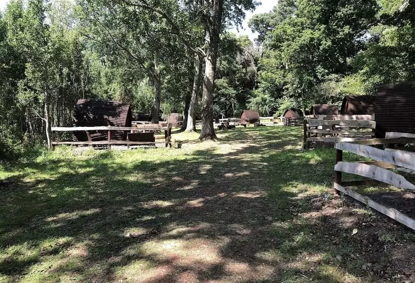 Edinburgh Cabin Camping