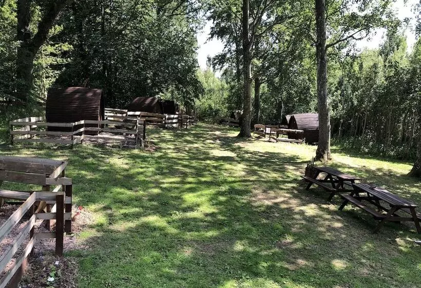 Edinburgh Cabin Camping