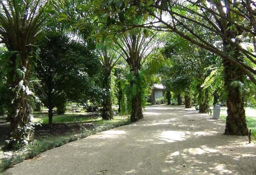 ホテル Tuaprodhome