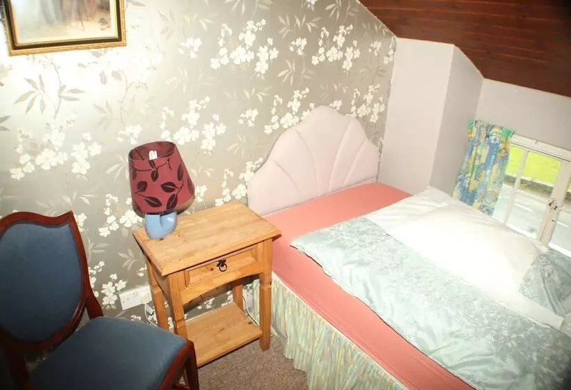 Lledr House   Hostel