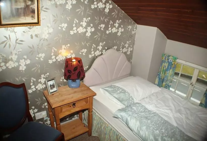 Lledr House   Hostel