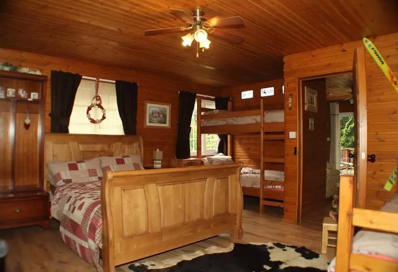 Lledr House   Hostel