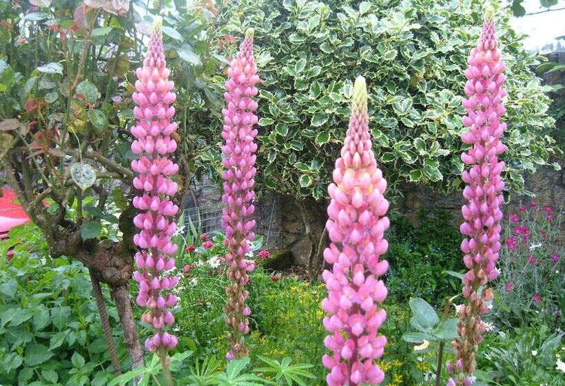 ペンション Casa Xan Da Pena