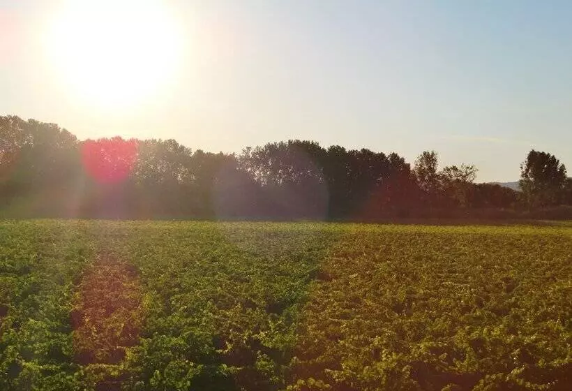 Majatalo Château Rieutort