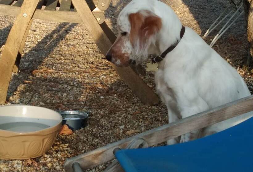 ペンション La Pause Val De Loire