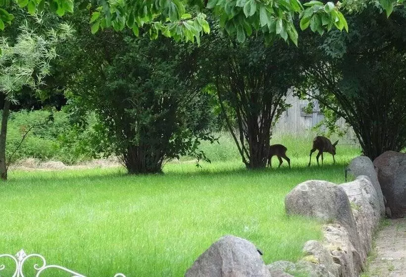 ベッドアンドブレックファースト Dat Lütte Nest