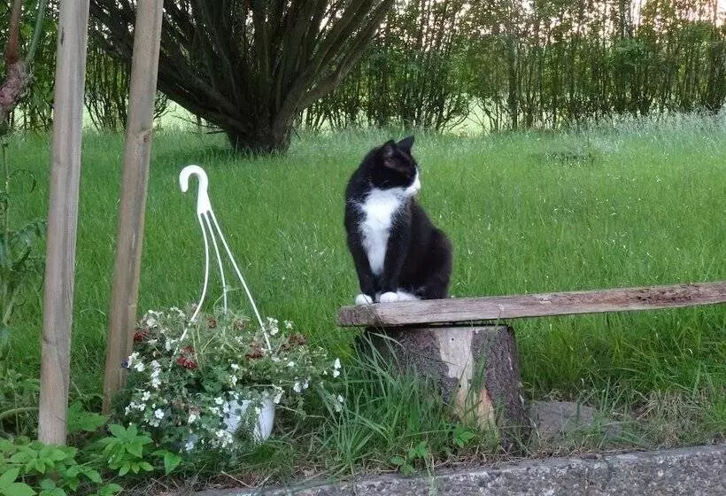 ベッドアンドブレックファースト Dat Lütte Nest