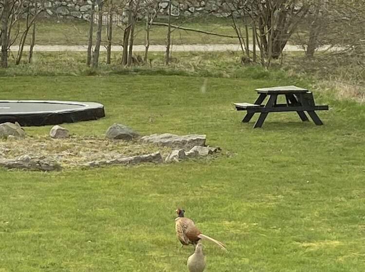 פונדק Blokhus Hune Hotel Og Vandrerhjem