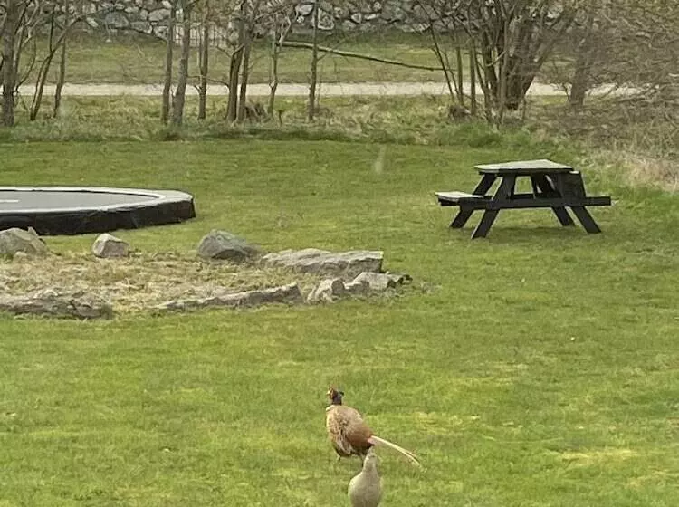 Hostelli Blokhus Hune Hotel Og Vandrerhjem