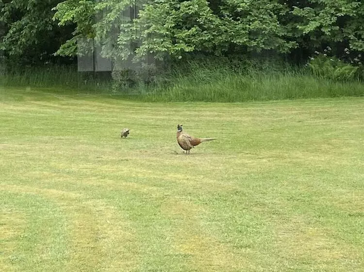 Hostelli Blokhus Hune Hotel Og Vandrerhjem