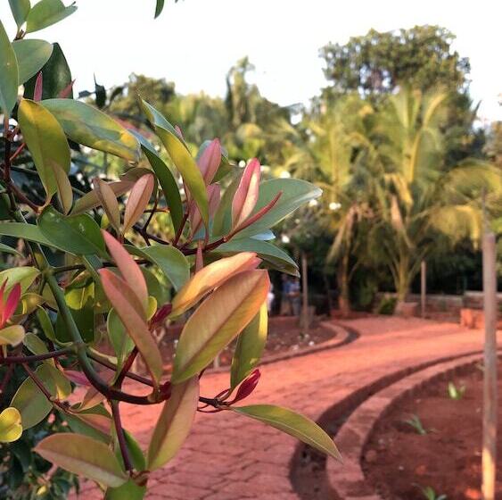 Surve Natures Resort Chiplun