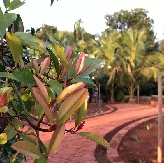 Surve Natures Resort   Chiplun