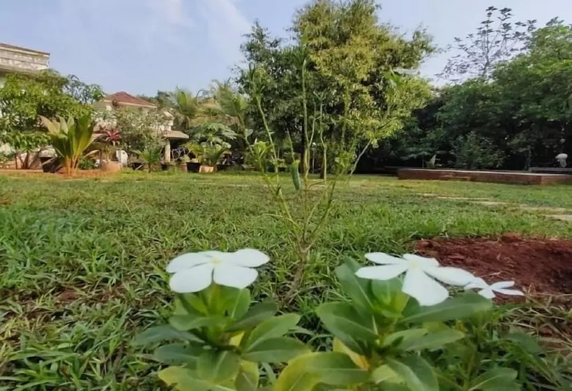 Surve Natures Resort   Chiplun