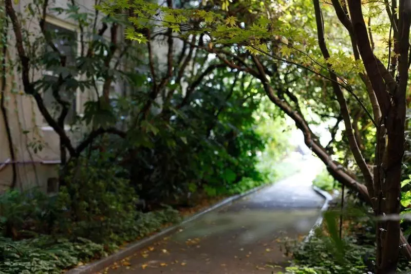 Mount View Hotel & Spa