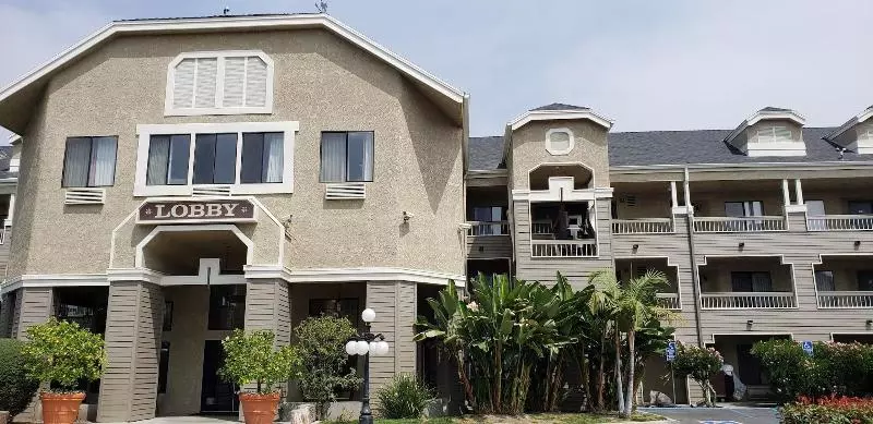 Отель Oak Tree Inn