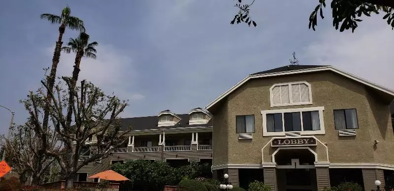 Отель Oak Tree Inn