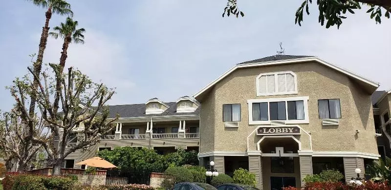 Отель Oak Tree Inn