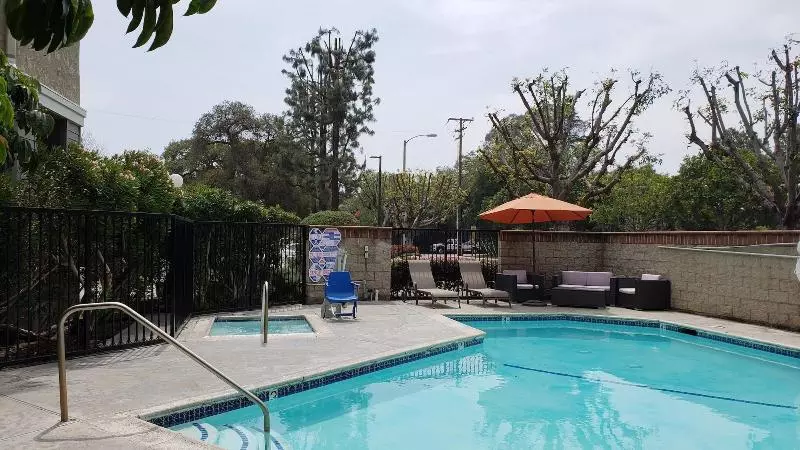 Отель Oak Tree Inn