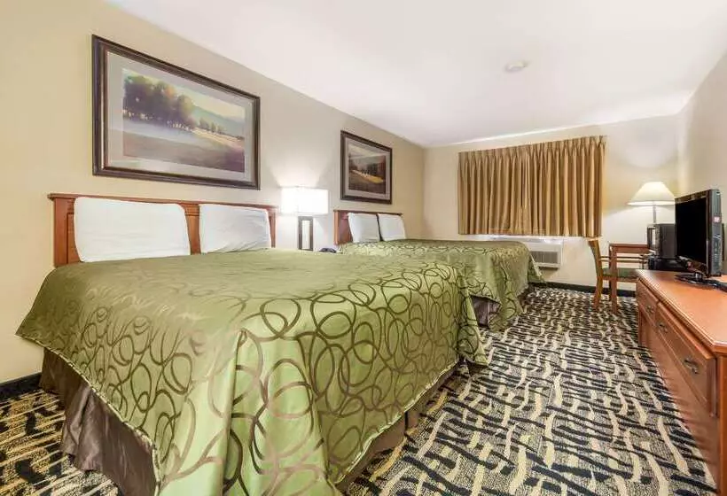 فندق Rodeway Inn