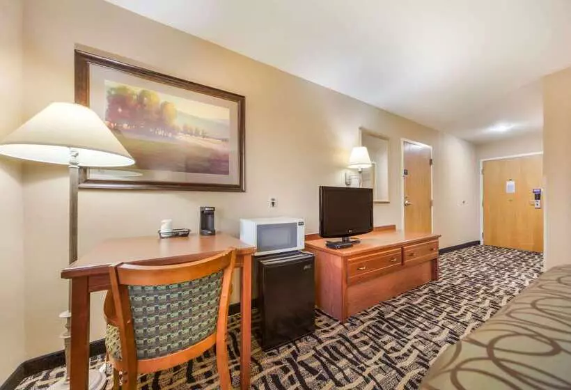 فندق Rodeway Inn