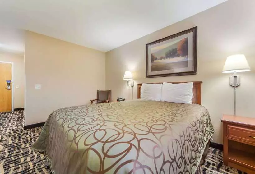 فندق Rodeway Inn