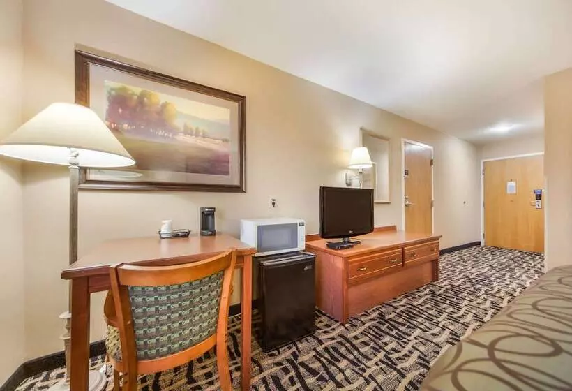 فندق Rodeway Inn