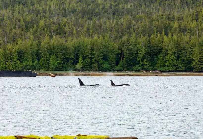 酒店 The Ketch Inn