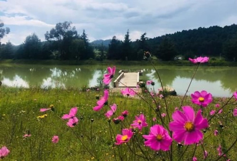 Cabañas Sierra Del Tecuan