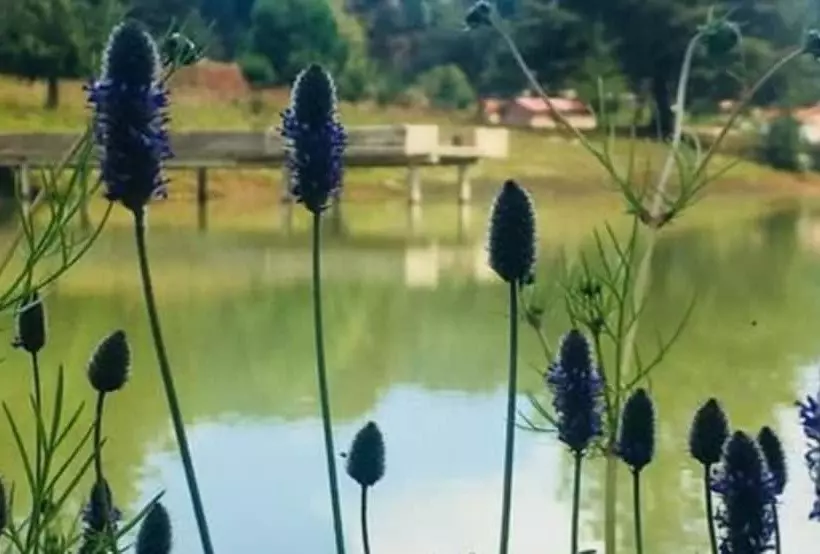 Cabañas Sierra Del Tecuan