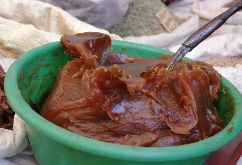 Majatalo Azrac Surf Morocco