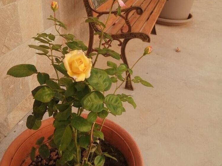 بنسيون Baglio Delle Rondini