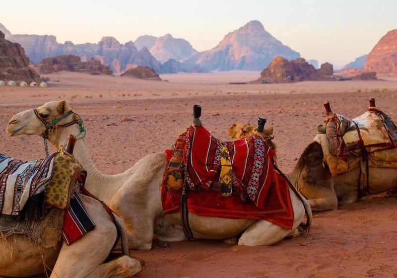 هتل کپسول Hasan Zawaideh Camp