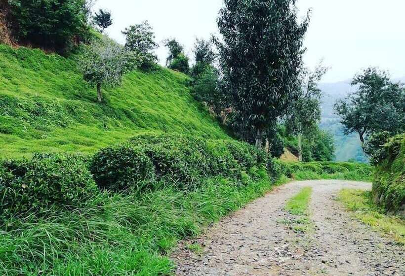 بنسيون Lorant Dag Evleri