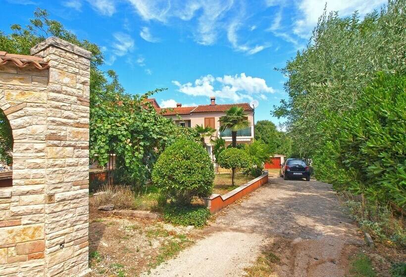 Apartments Voltica 1049