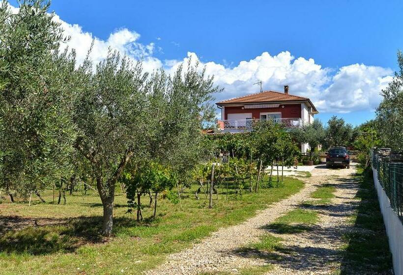 Apartment With Nice Terrace 684