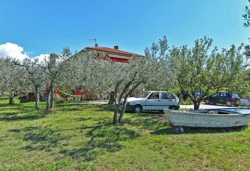 Apartment With Nice Terrace 684